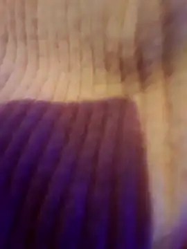 AsStraightAsARuler online show from December 2025 05:04:02 AM