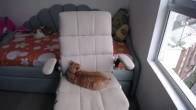  arianalzate  online show from January 2025 08:04:01 PM