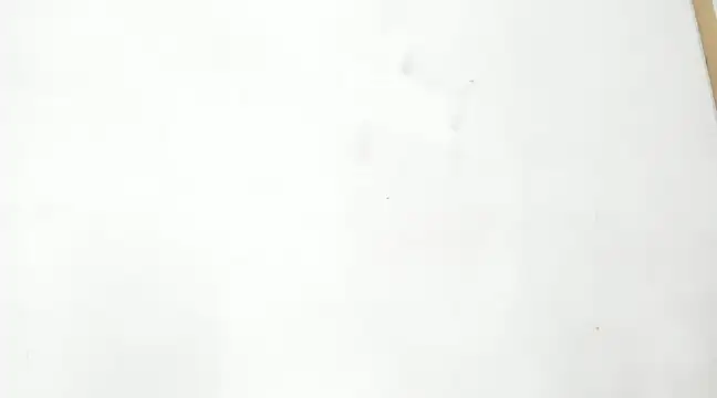 Snapshot of bigmom69_ chatting on December 2024 03:21:02 PM bigmom69  online show from December 2024 03:21:02 PM