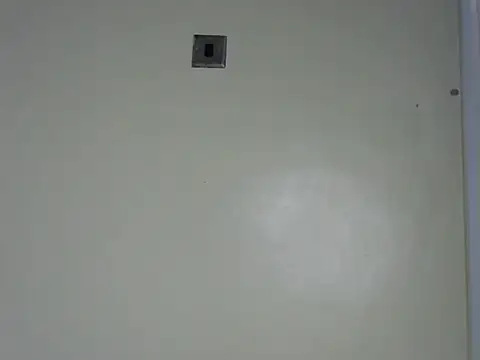 Rasta tattooed online show from November 2025 12:15:02 PM