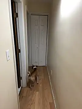 Snapshot of DaddySnowXX chatting on December 2024 11:33:02 AM DaddySnowXX online show from December 2024 11:33:02 AM