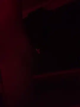 trash4cash online show from February 2025 11:25:02 PM