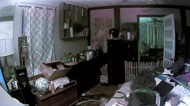 trash4cash online show from March 2026 04:19:01 AM