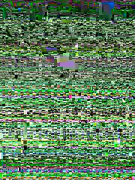 Snehameowwxh online show from November 2025 04:16:02 PM