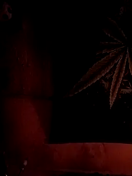 ySqmbVanbe online show from February 2026 08:29:01 AM