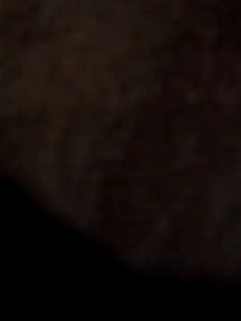 ySqmbVanbe online show from April 2026 12:48:02 AM