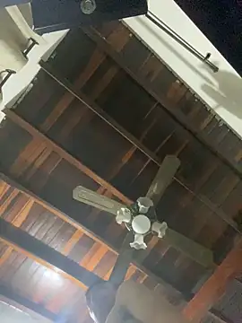 tom thick online show from December 2024 09:54:02 AM