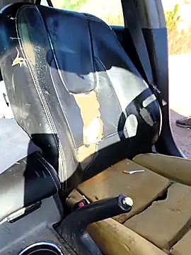 FloppyPickle4u online show from March 2026 04:22:02 PM