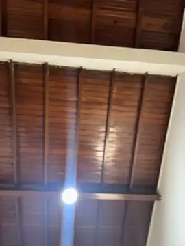 emiss  online show from February 2026 03:05:01 PM