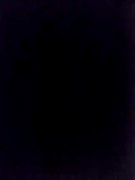 Snapshot of BongChannel chatting on January 2025 11:40:01 PM BongChannel online show from January 2025 11:40:01 PM