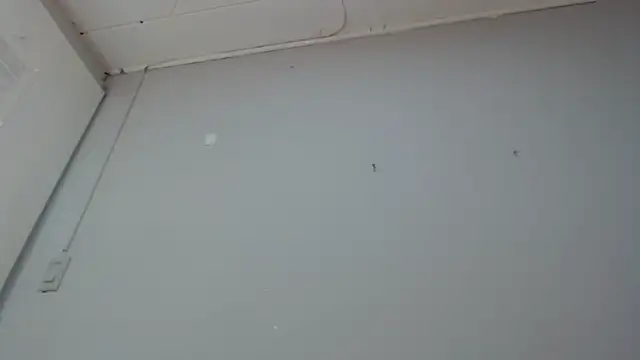 Emma-Wilson online show from March 2025 02:19:01 PM