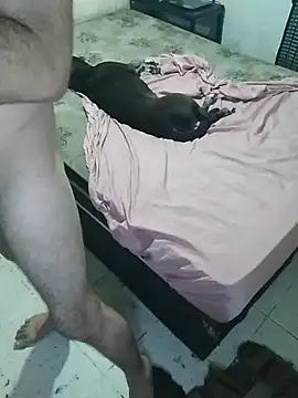 Snapshot of pikalindaxx chatting on February 2026 12:40:02 AM pikalindaxx online show from February 2026 12:40:02 AM