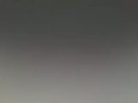 lovense test04 online show from December 2024 08:14:02 AM