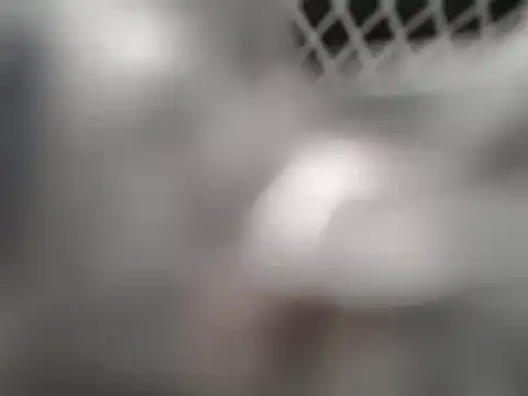 lovense test04 online show from March 2025 02:25:02 AM