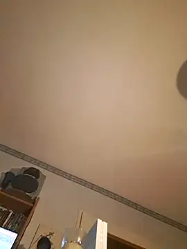 Snapshot of TheHardone_29 chatting on December 2024 03:41:01 AM TheHardone 29 online show from December 2024 03:41:01 AM