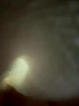 eveangelll online show from November 2025 04:55:02 AM