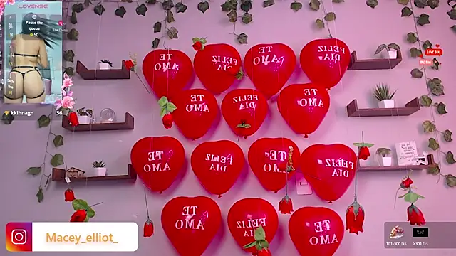 Snapshot of macey_elliot_ chatting on February 2025 02:55:02 PM macey elliot online show from February 2025 02:55:02 PM