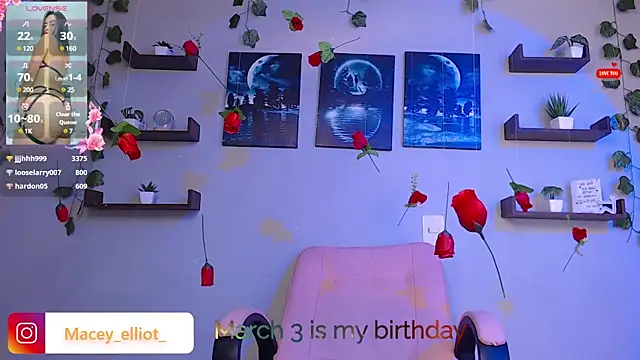 Snapshot of macey_elliot_ chatting on February 2025 09:48:01 PM macey elliot online show from February 2025 09:48:01 PM