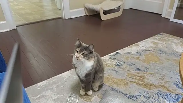 sexylilly69 online show from April 2026 09:52:01 PM