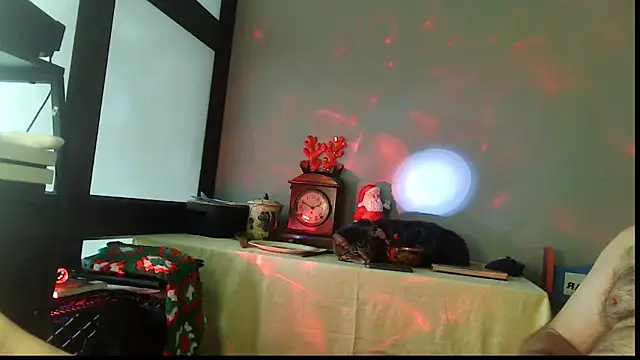 SexWorkerX online show from December 2025 06:49:02 PM