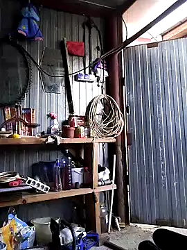 Sarpe84 online show from December 2024 02:16:02 PM