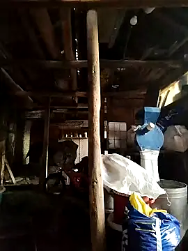 Sarpe84 online show from January 2025 05:48:01 AM