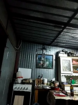 Sarpe84 online show from February 2025 04:36:01 PM