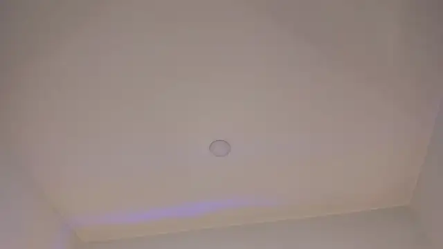 Mara Betancurt online show from February 2025 11:44:01 PM