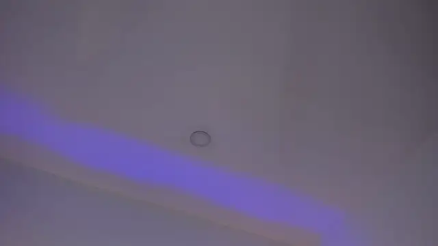 Mara Betancurt online show from March 2025 03:24:01 AM