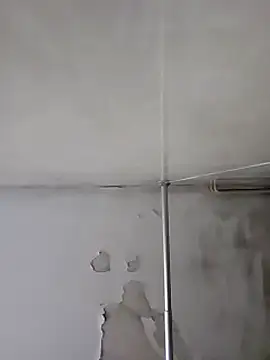 gordito xx online show from January 2025 06:03:01 AM