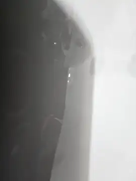 gordito xx online show from February 2025 03:47:01 PM