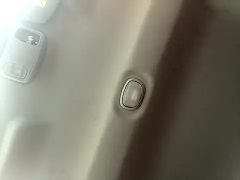 maverik3640 online show from February 2026 11:42:02 PM