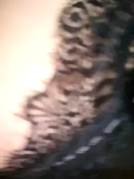 Snapshot of tahra-19 chatting on December 2024 04:21:02 PM tahra-19 online show from December 2024 04:21:02 PM