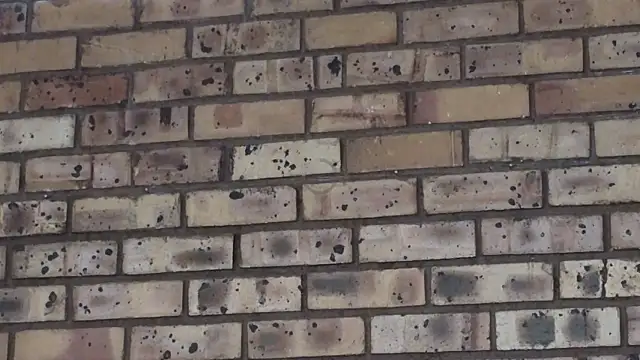 Snapshot of Astoria_Moon chatting on December 2024 02:15:01 PM Astoria Moon online show from December 2024 02:15:01 PM