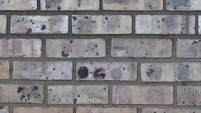 Snapshot of Astoria_Moon chatting on February 2025 01:01:01 PM Astoria Moon online show from February 2025 01:01:01 PM