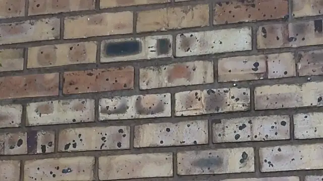 Snapshot of Astoria_Moon chatting on February 2025 07:09:01 PM Astoria Moon online show from February 2025 07:09:01 PM