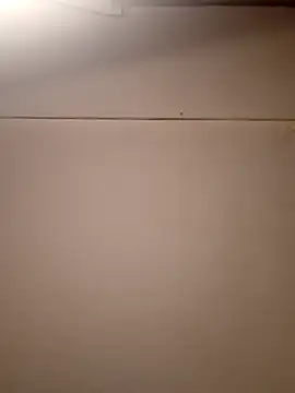 AmazonianMistress online show from September 2025 01:57:02 PM