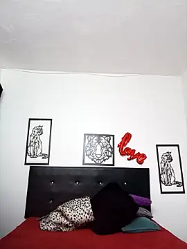 Shanttal0272 online show from October 2025 01:37:02 AM