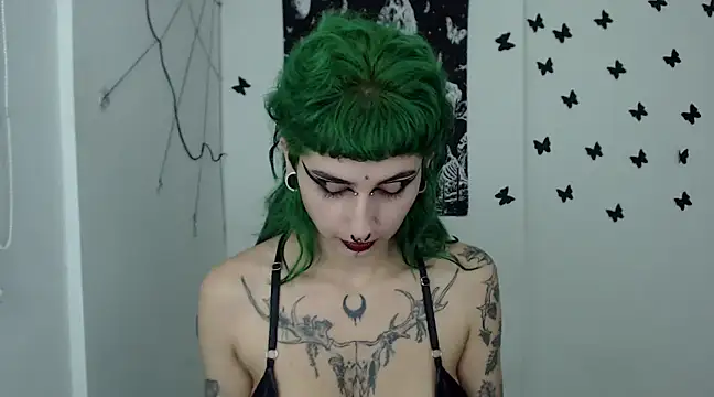 n0sferatus   online show from December 2024 05:56:02 AM