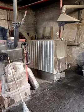 MityaXLoves online show from April 2026 05:46:02 AM