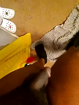 freakniknutty online show from October 2025 02:36:01 PM