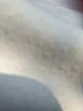 Priya Bong online show from February 2026 04:00:01 AM