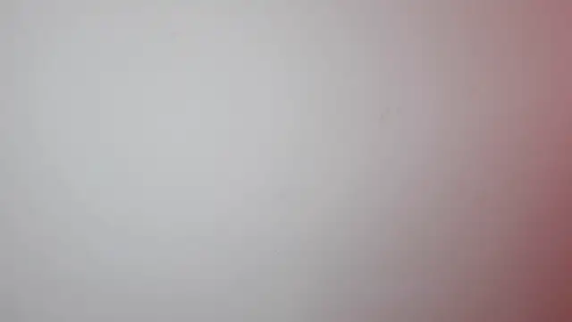 Kenner fox77 online show from March 2025 07:26:02 PM