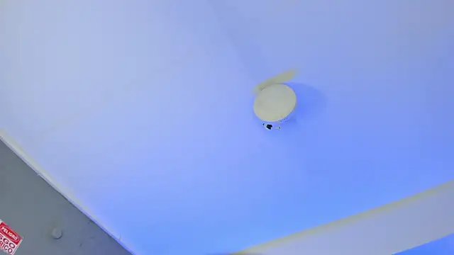 ArigyGomez online show from November 2025 11:24:01 PM