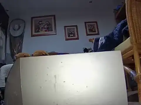 pajaroquemamaiz online show from February 2026 11:25:01 PM