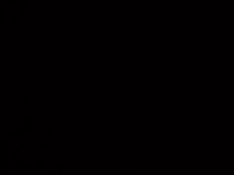 Lutfuberk online show from December 2024 10:28:02 AM