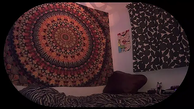 HeyyImHarlowe online show from March 2026 07:09:02 AM