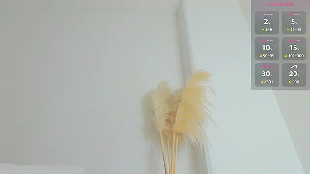 dollface17 online show from June 2026 11:41:01 PM