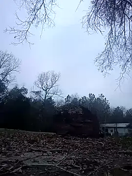 Xoc8  online show from January 2025 11:32:02 PM