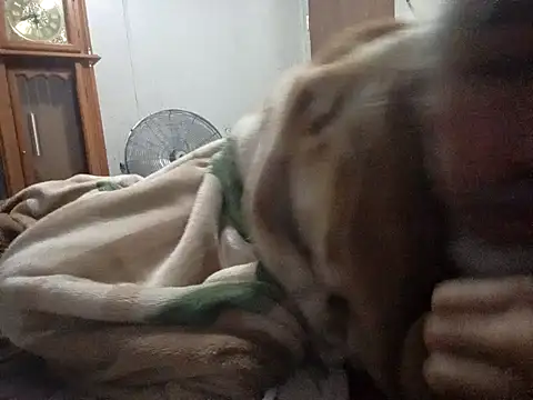 Xoc8  online show from February 2026 09:28:02 AM